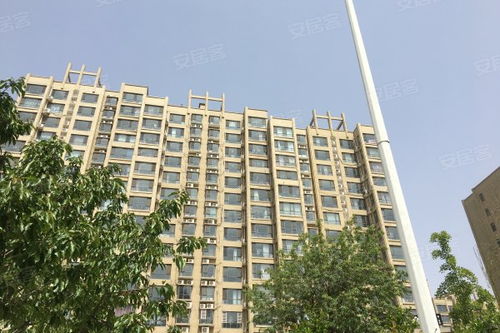 尚东城综合评析 优缺点、居住体验及周边房产中介服务